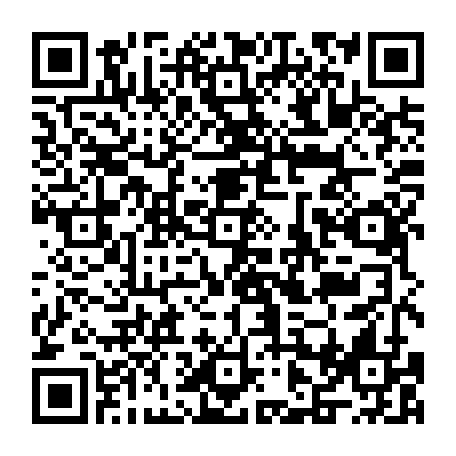 vCard 79231684981