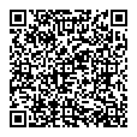 vCard 79231684982