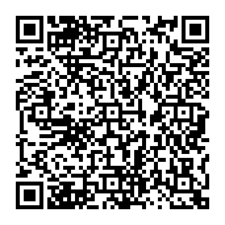 vCard 79231685009