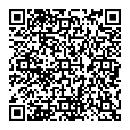 vCard 79231685067