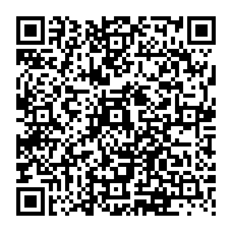 vCard 79231685081