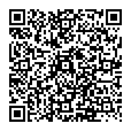 vCard 79231685288