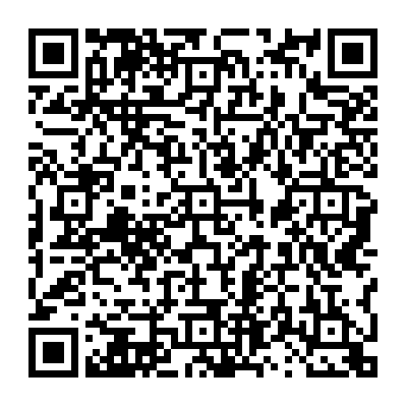 vCard 79231685290