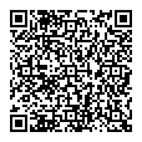 vCard 79231685308