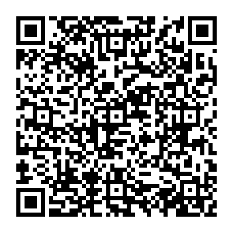 vCard 79231685332