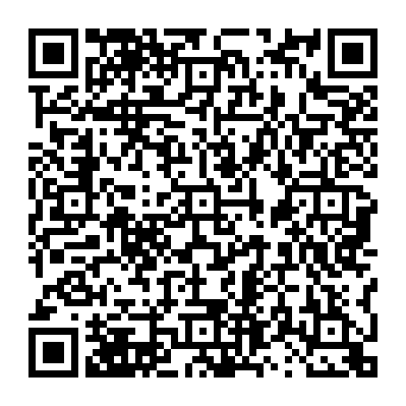 vCard 79231685341
