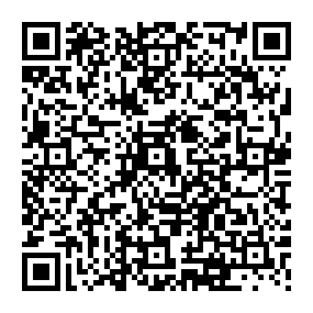 vCard 79231685383