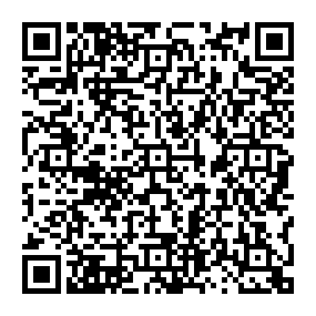 vCard 79231685384