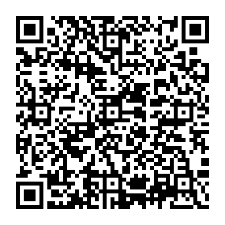 vCard 79231685387