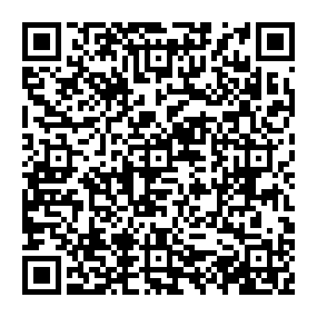 vCard 79231685396