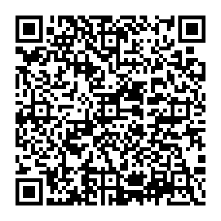 vCard 79231685397