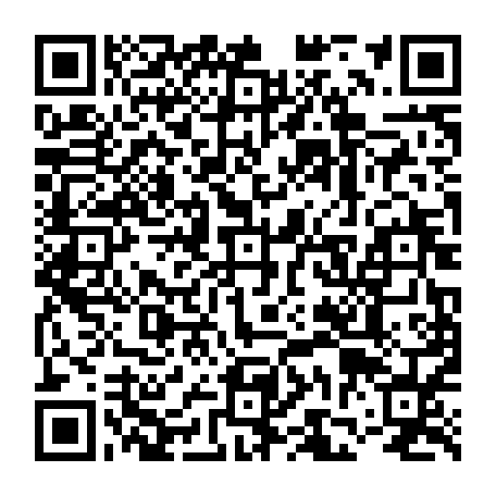 vCard 79231685403