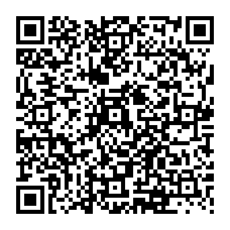 vCard 79231685407
