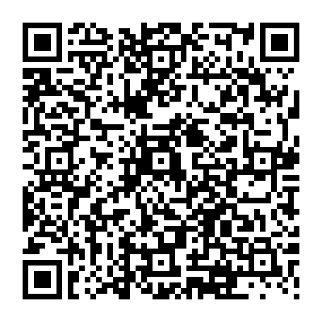 vCard 79231685411