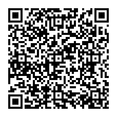 vCard 79231685431