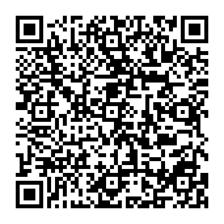 vCard 79231685473