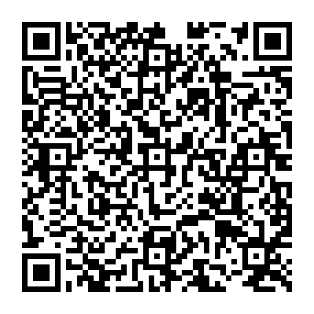 vCard 79231685481