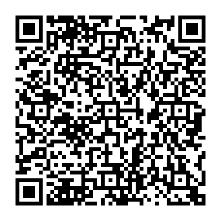 vCard 79231685867
