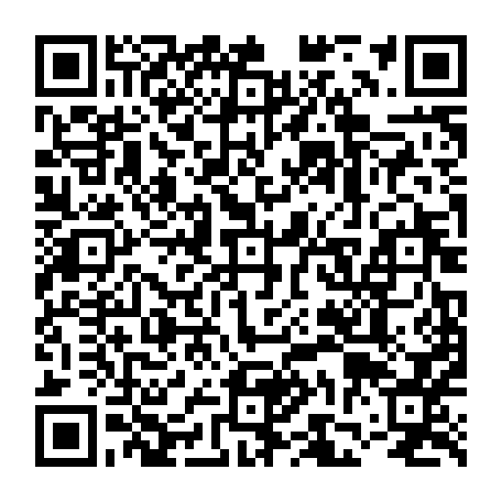 vCard 79231686017