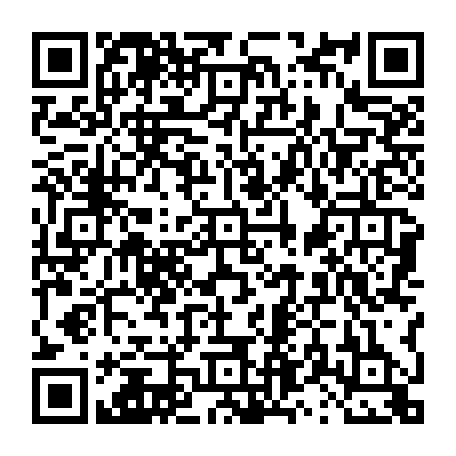 vCard 79231686036