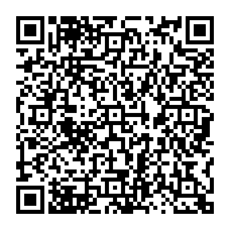 vCard 79231686111
