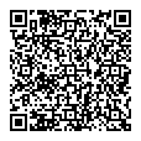 vCard 79231686217