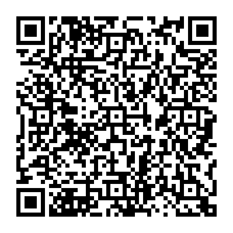 vCard 79231686223