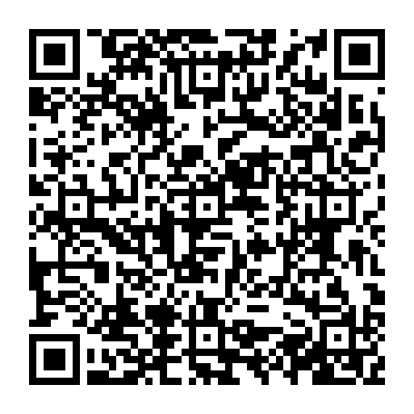 vCard 79231686275