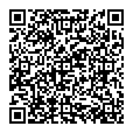 vCard 79231686289