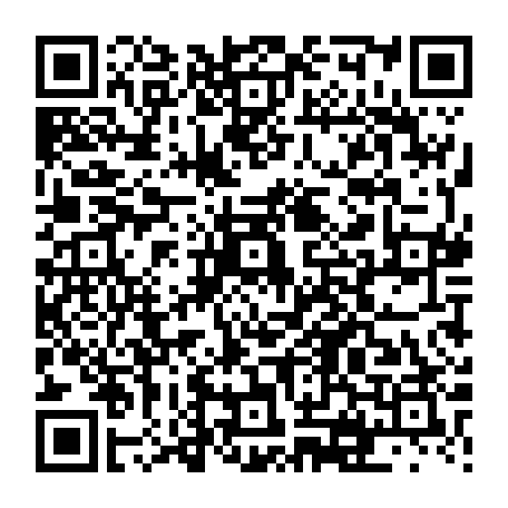vCard 79231686339