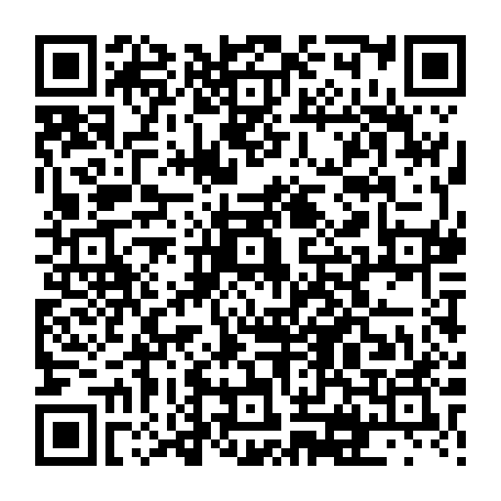 vCard 79231686381