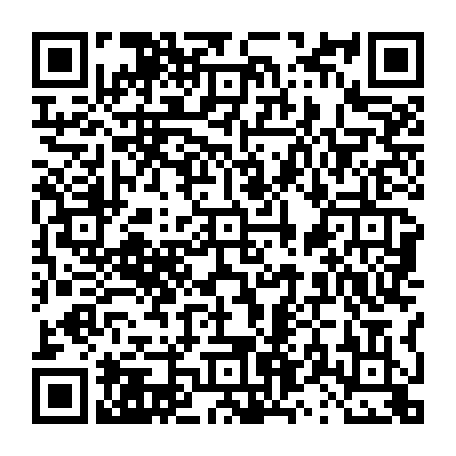vCard 79231686913