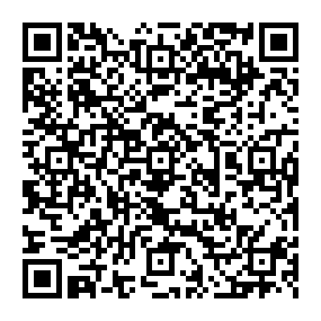 vCard 79231687001
