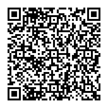 vCard 79231687232