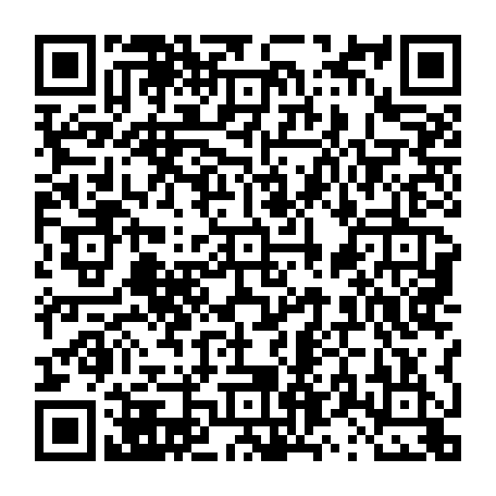 vCard 79231687341
