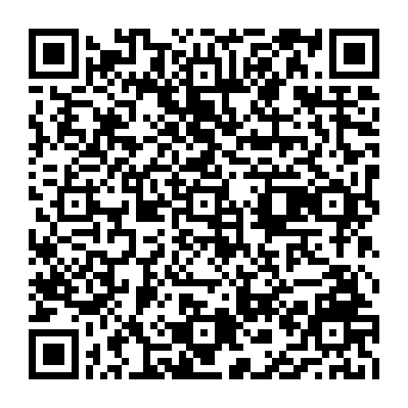vCard 79231687646