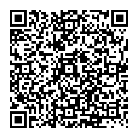 vCard 79231687803