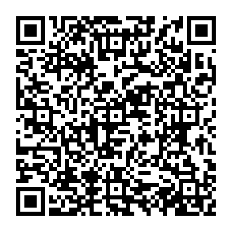 vCard 79231688074