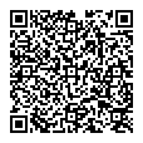 vCard 79231688085