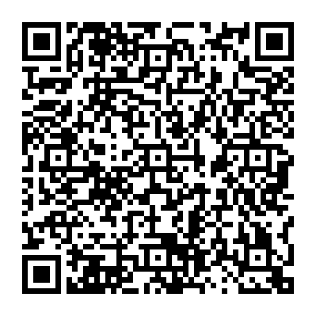 vCard 79231688141