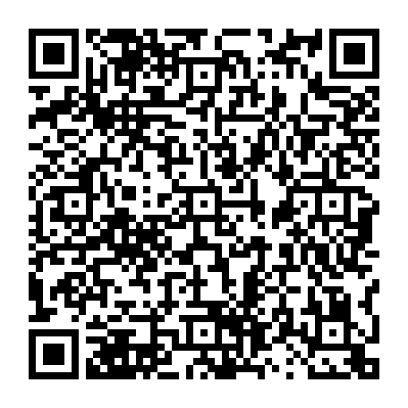 vCard 79231688277