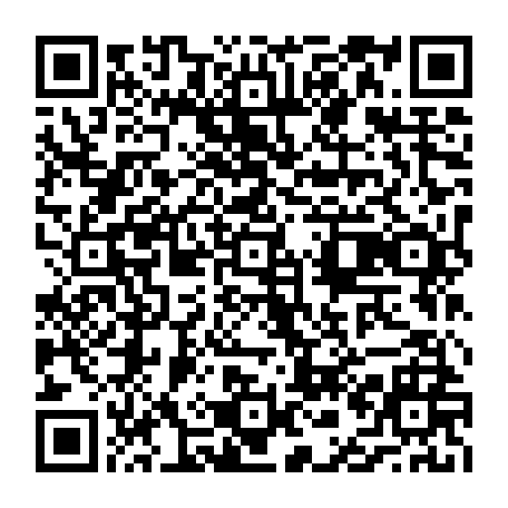 vCard 79231688382