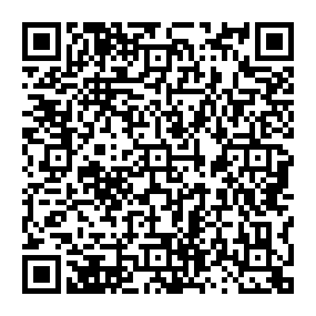 vCard 79231688617