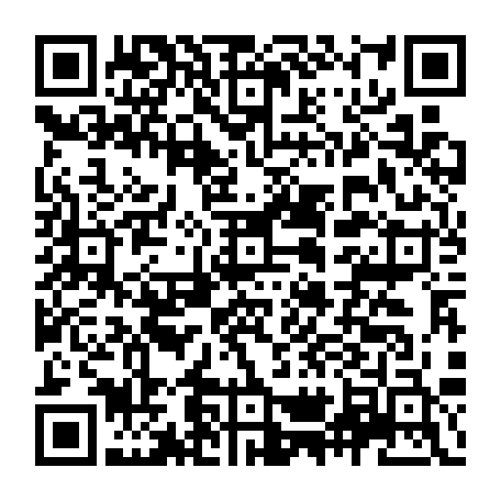 vCard 79231688638