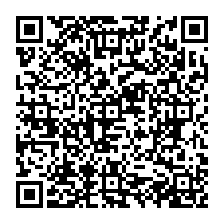 vCard 79231689546
