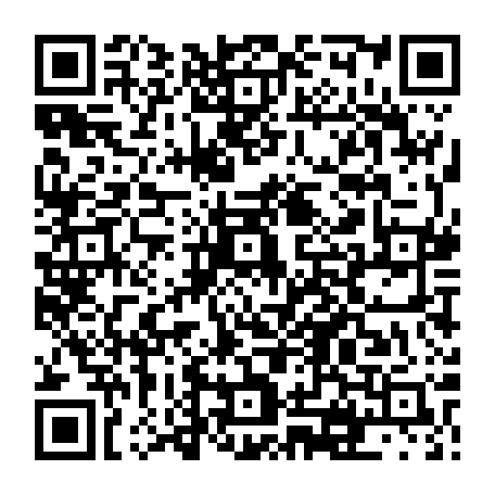 vCard 79231689731