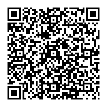 vCard 79231690705