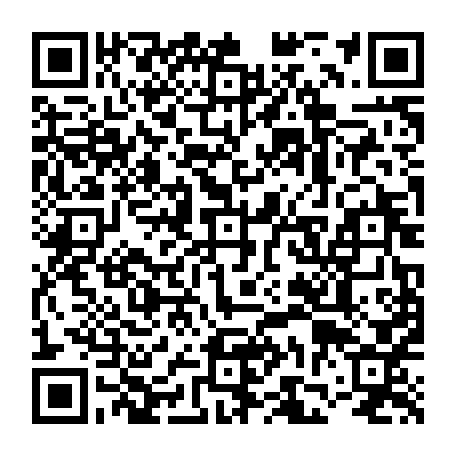 vCard 79231690803