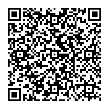 vCard 79231722687