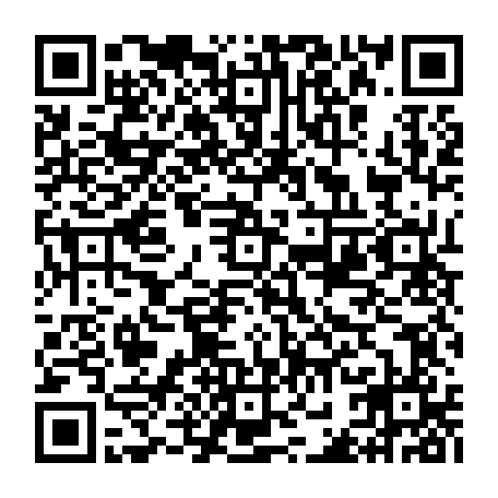 vCard 79231743341